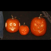 pumpkins